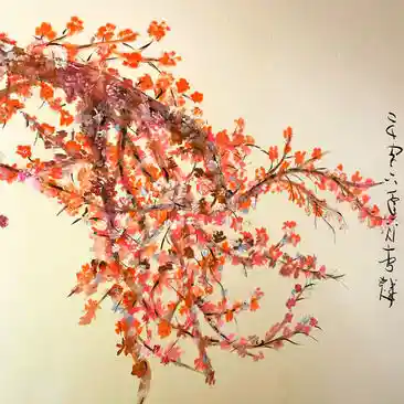 Cherry Blossom Branches
