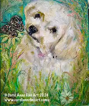 Golden Dog Butterfly