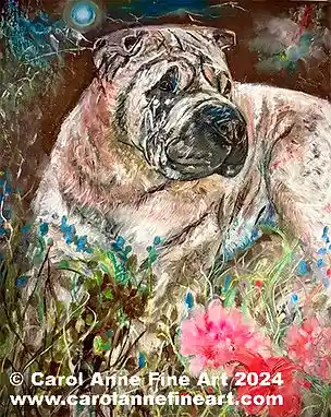 Shar Pei Portrait
